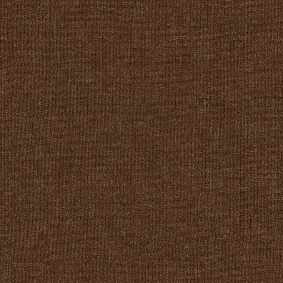 Warwick Saga Nuthatch