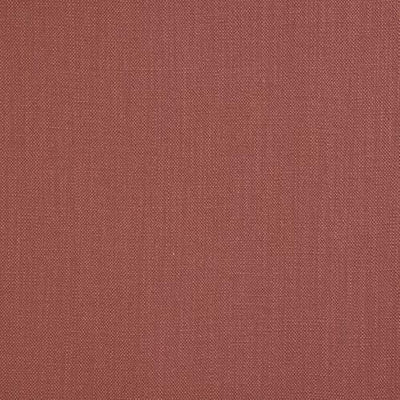 Porter & Stone Savanna Mocha