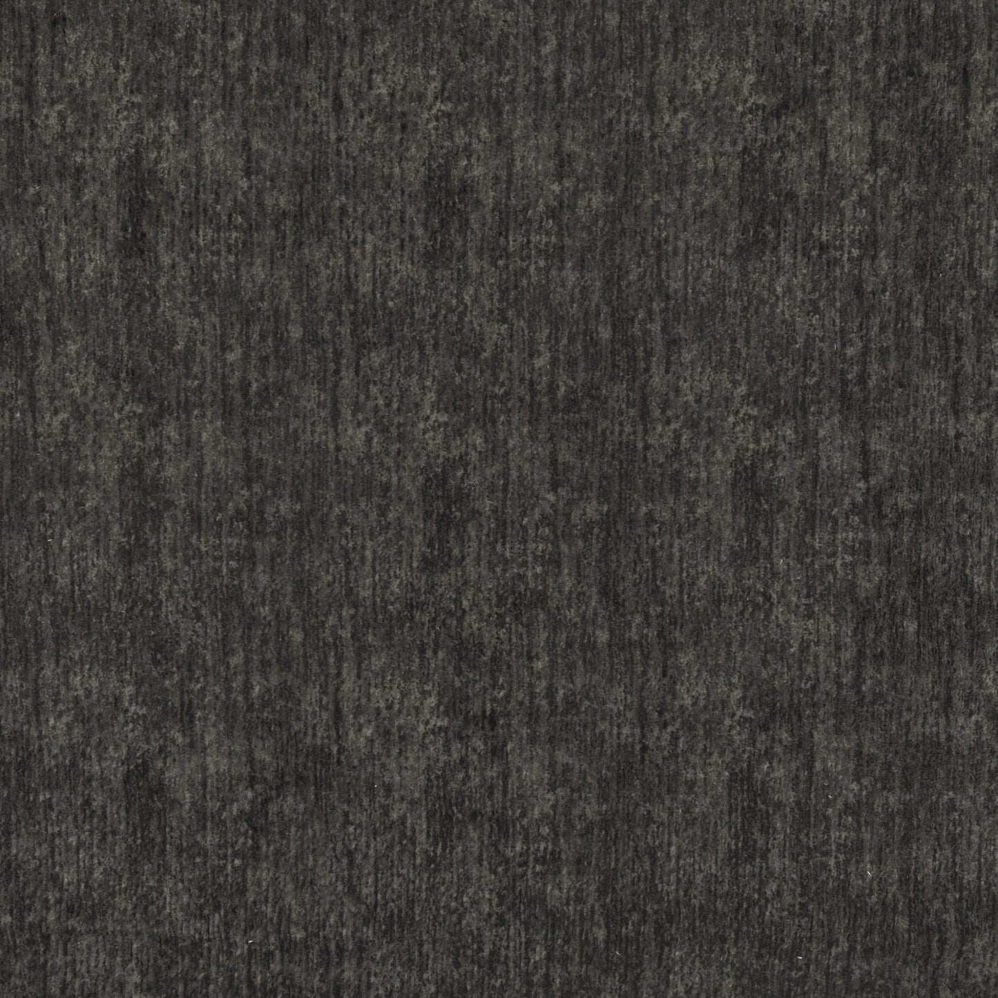 Warwick Sherpa Coal