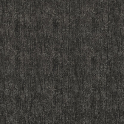 Warwick Sherpa Coal