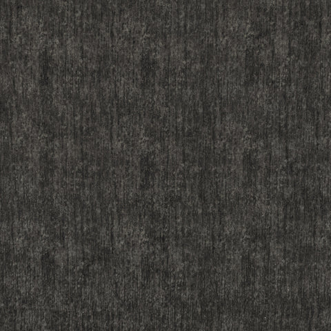 Warwick Sherpa Coal
