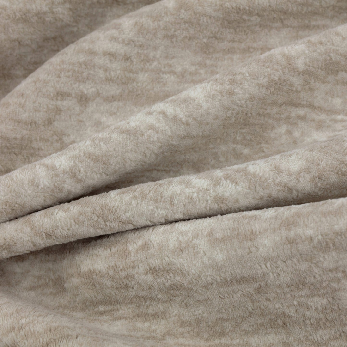 Warwick Sherpa Oyster