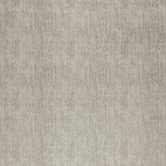 Warwick Sherpa Oyster