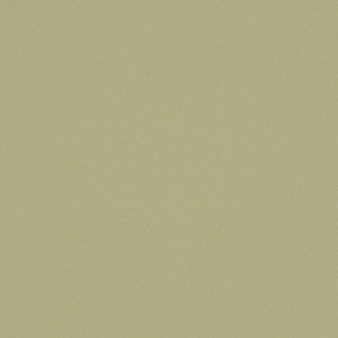 Warwick Shuteye Sandstone