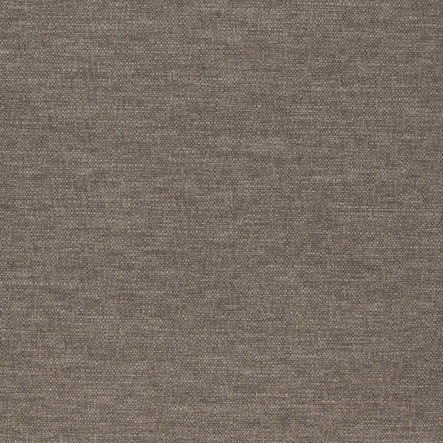 Warwick Slite Lichen