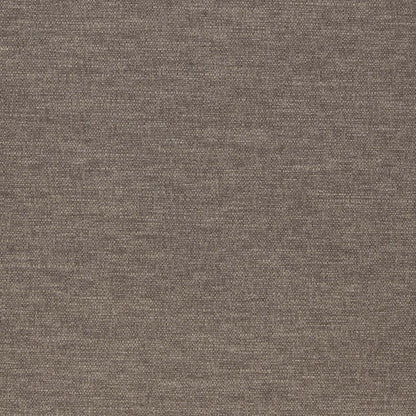 Warwick Slite Lichen