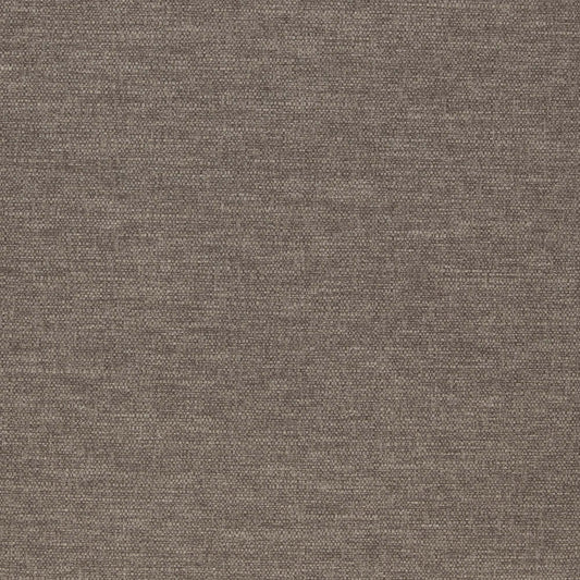 Warwick Slite Lichen