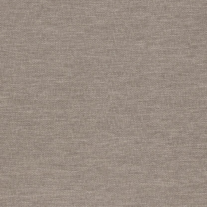 Warwick Slite Shadow