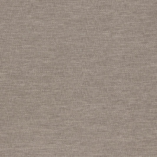 Warwick Slite Shadow