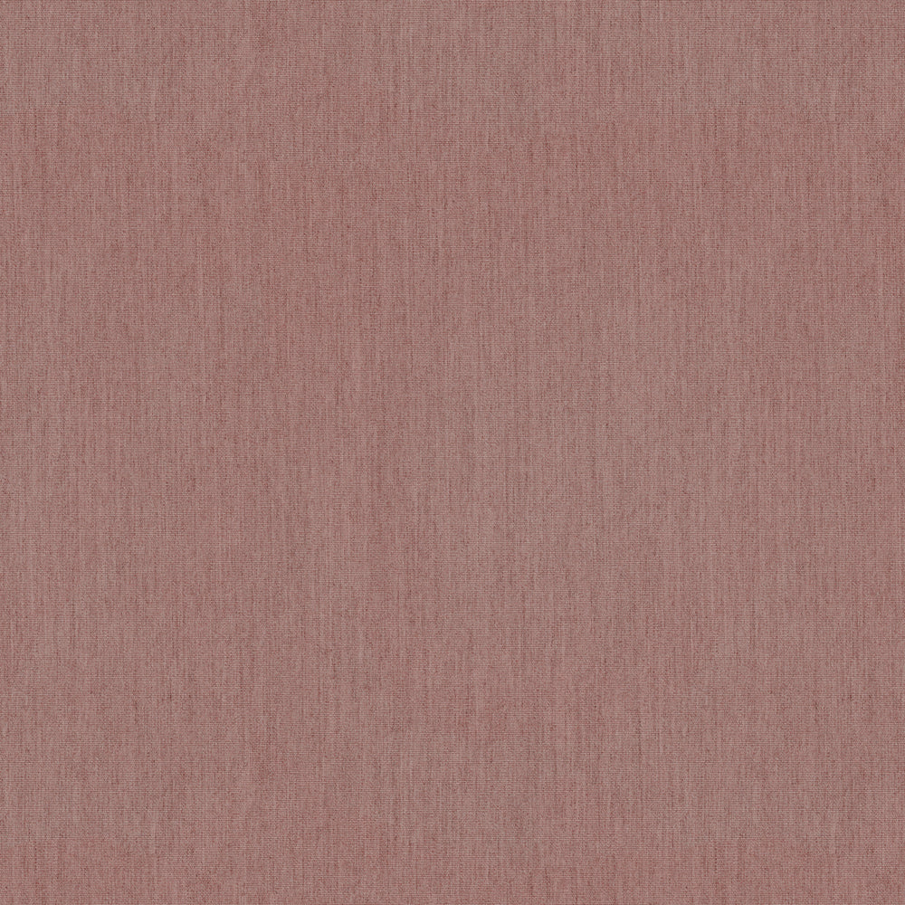 Warwick Solaire Anemone