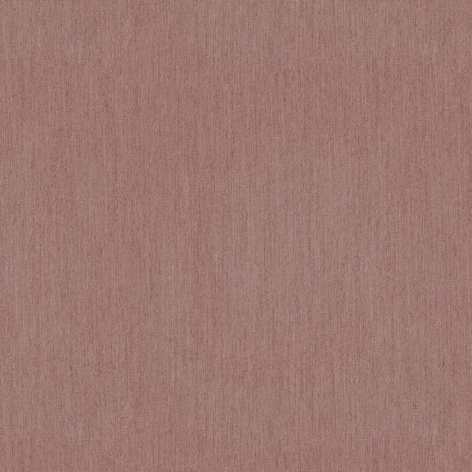 Warwick Solaire Anemone