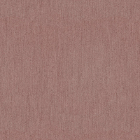 Warwick Solaire Anemone