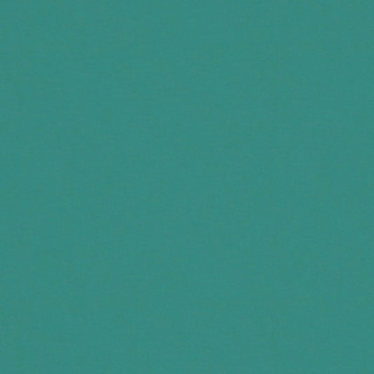 Warwick Solaire Atoll