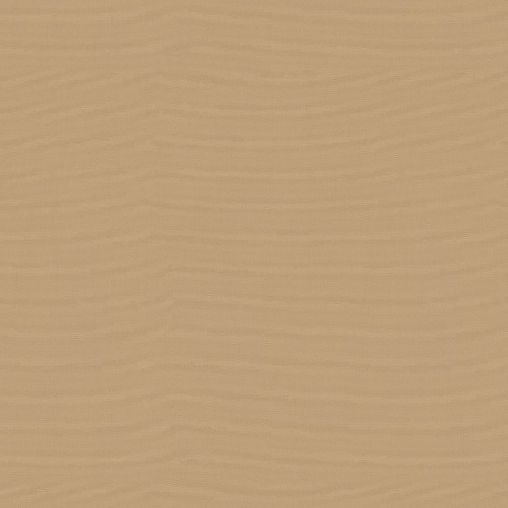 Warwick Solaire Camel