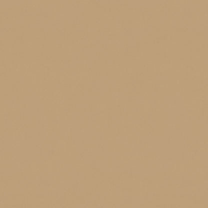 Warwick Solaire Camel