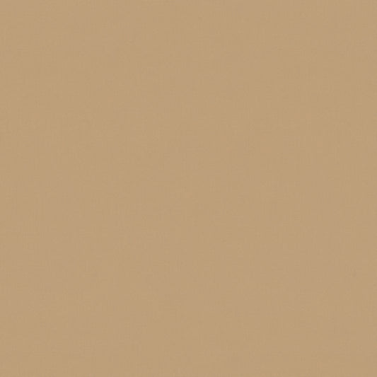 Warwick Solaire Camel