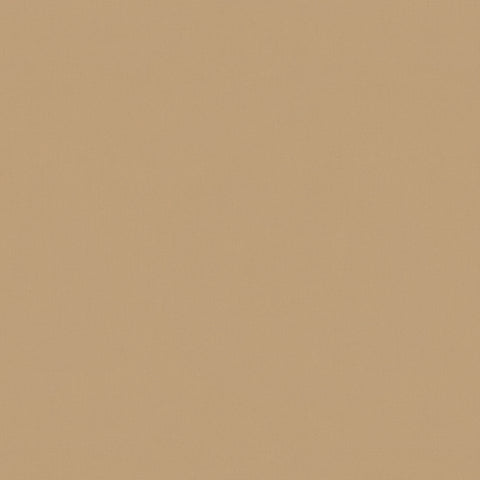 Warwick Solaire Camel