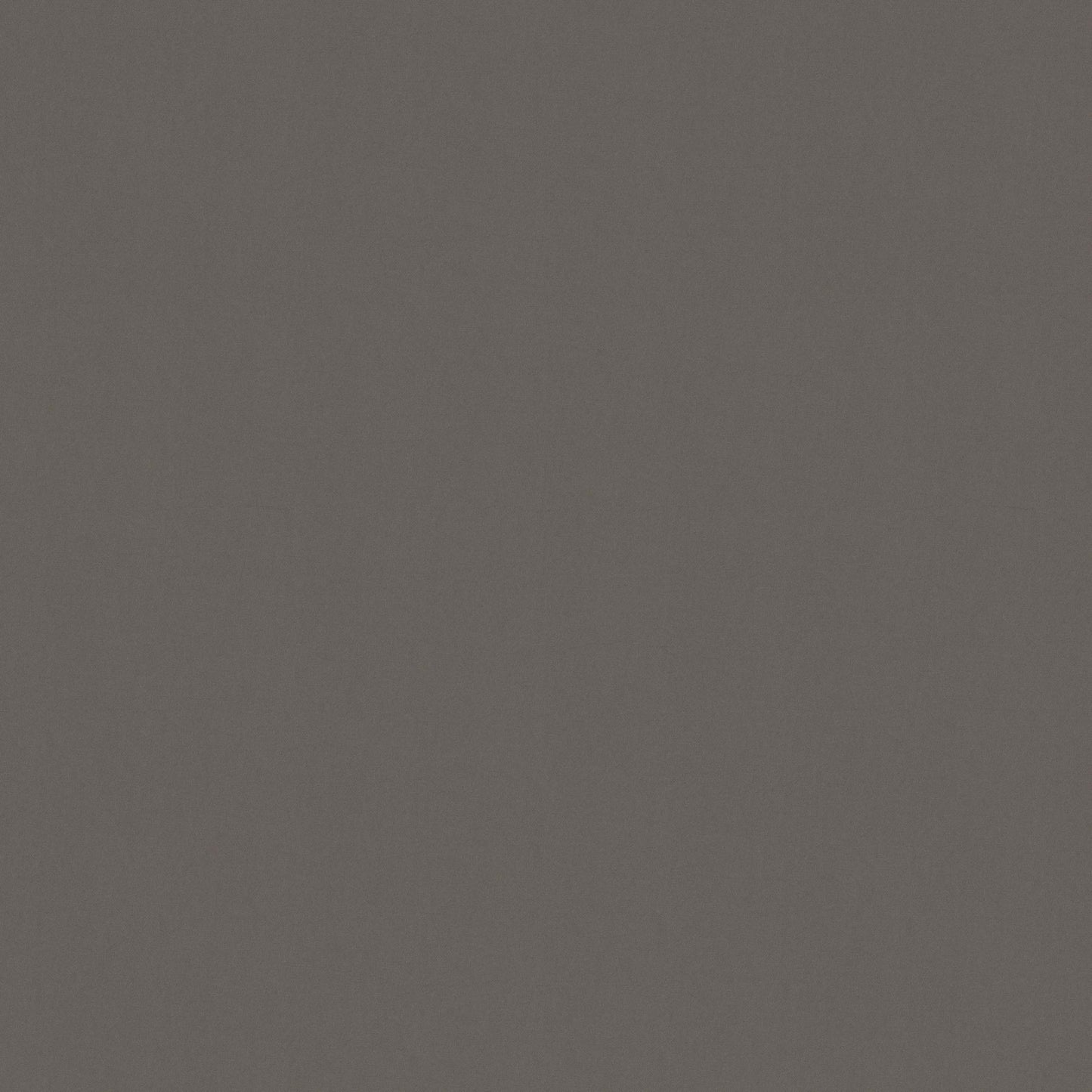 Warwick Solaire Dolphin