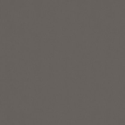 Warwick Solaire Dolphin