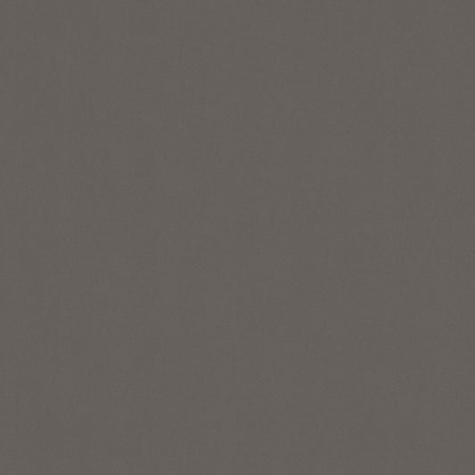 Warwick Solaire Dolphin