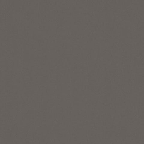 Warwick Solaire Dolphin