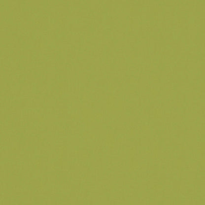Warwick Solaire Lime
