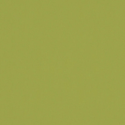 Warwick Solaire Lime