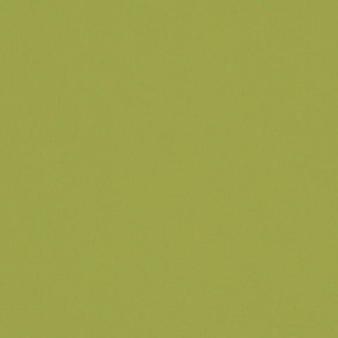 Warwick Solaire Lime