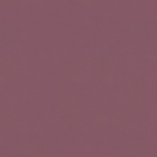 Warwick Solaire Mermaid