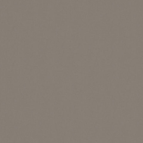 Warwick Solaire Pebble