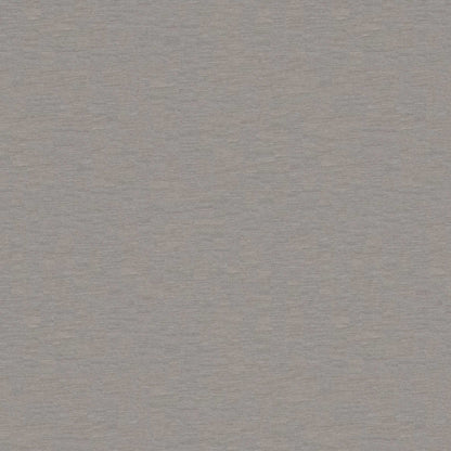 Warwick Solaire Shark