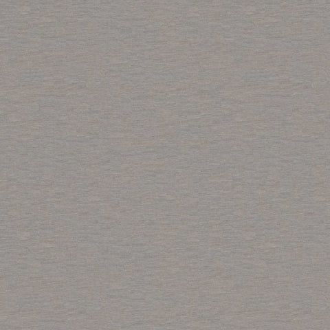 Warwick Solaire Shark