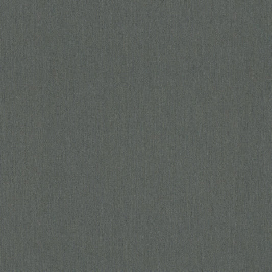 Warwick Solaire Turtle