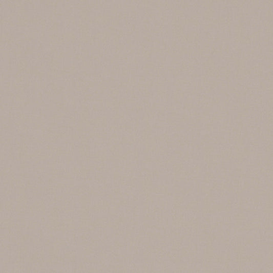 Warwick Solaire Vanilla