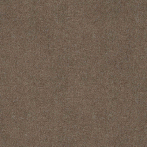 Warwick Solna Fossil