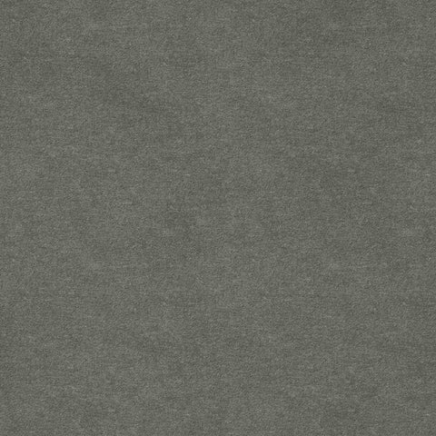 Warwick Solna Lichen