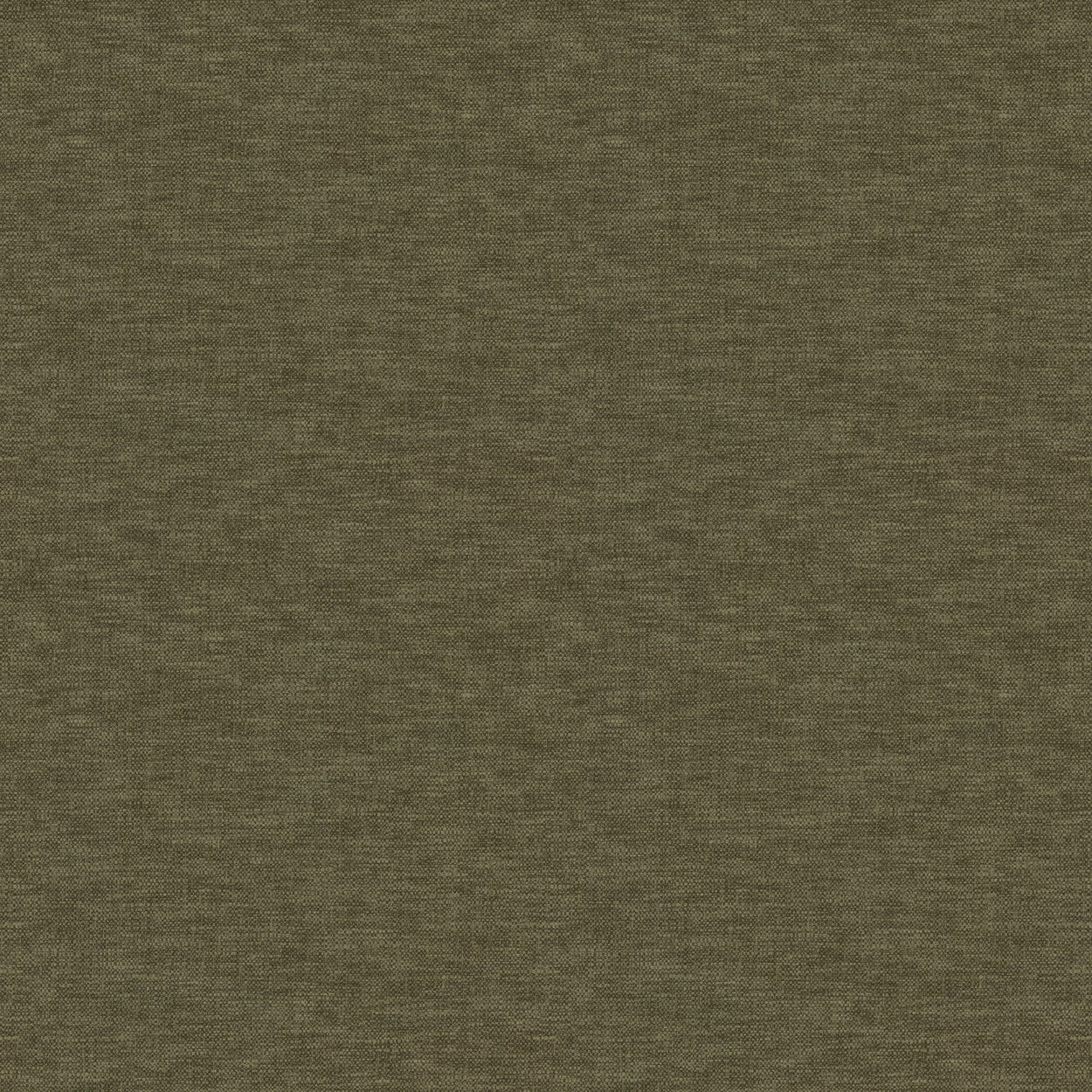 Warwick Splash-Eco Conifer