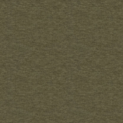 Warwick Splash-Eco Conifer