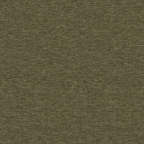 Warwick Splash-Eco Conifer