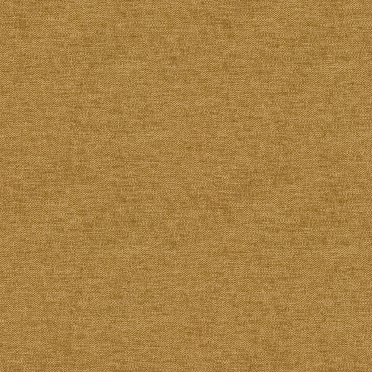 Warwick Splash-Eco Daffodil