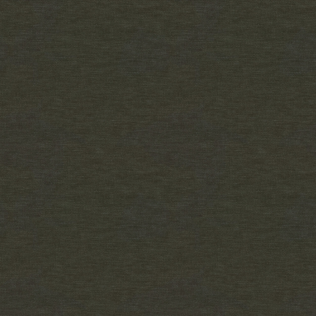 Warwick Splash-Eco Fir