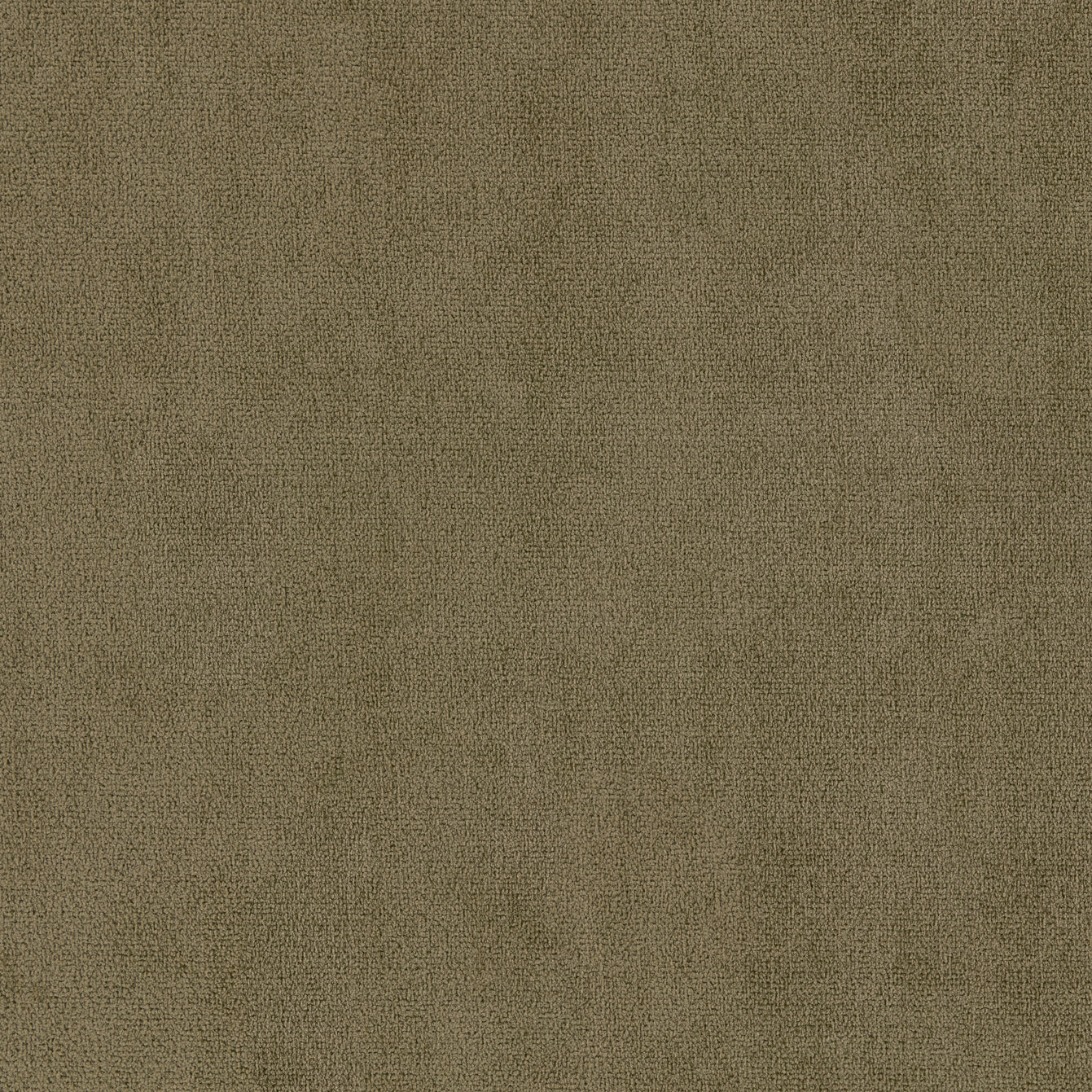 Warwick Suave Olive