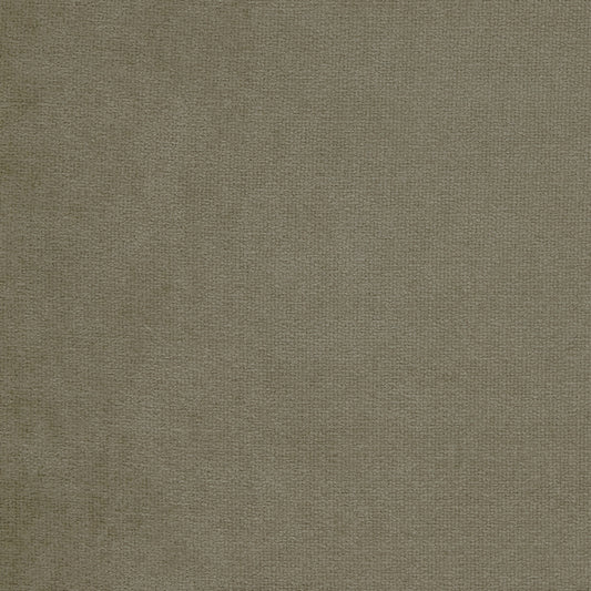 Warwick Suave Forest