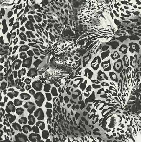 Today Interiors  – Dolce and Gabbana –  Leopardo Incognito – Black/Grey- Wallpaper Whole Roll