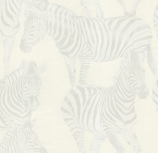 Today Interiors  – Dolce and Gabbana – Zebra Roman - Whole Rollce – Ivory