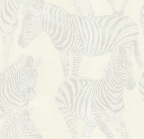 Today Interiors  – Dolce and Gabbana – Zebra Roman - Whole Rollce – Ivory