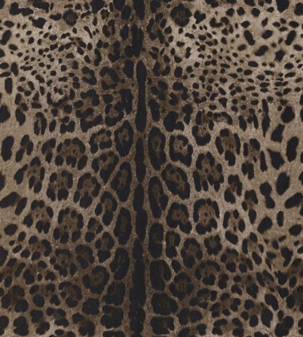 Today Interiors  – Dolce and Gabbana –  Leopardo Dolce – Brown- Wallpaper Whole Roll