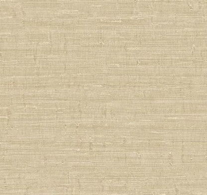 Today Interiors – Fibers and Threads - TH90415  – Vinyl- 68.58cm x 8.2m- Whole Roll