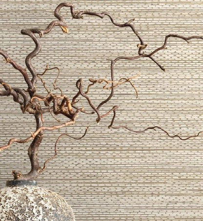 Today Interiors – Fibers and Threads - TH91806– non woven- 68.58cm x 8.2m- Whole Roll