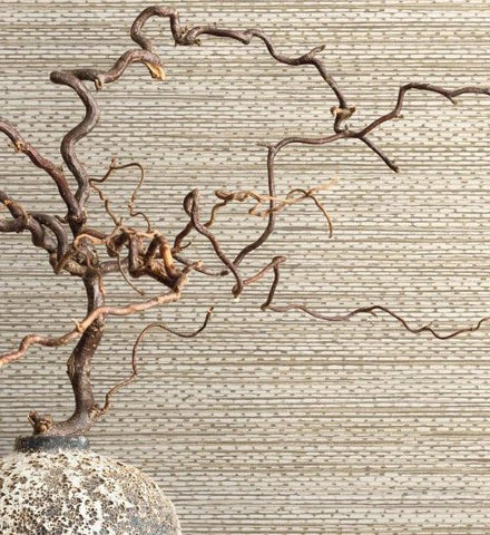 Today Interiors – Fibers and Threads - TH91817 – non woven- 68.58cm x 8.2m- Whole Roll